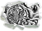 Tigre - 3D-Look Papier Mural