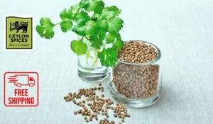100% organic CEYLON CORIANDER SEED Natural Herbal premium quality free shipping - Picture 1 of 4