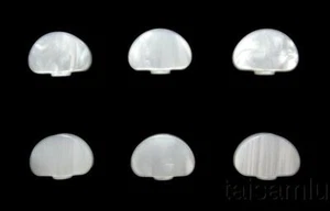 Classical Acoustic Guitar tuner pearl white plastic button 6pc - P3W - Picture 1 of 1