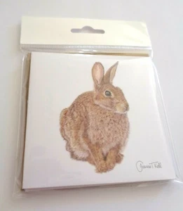 SET /PACK OF 4 SMALL 'WILD RABBIT' BLANK WILDLIFE CARDS /NOTELETS / INVITATIONS - Picture 1 of 3