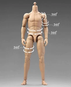 1/6 Male Long Neck Flexible Narrow Shoulder 12'' Figure Body for Male Head Toy - Picture 1 of 6