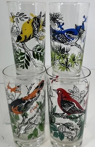 4 VTG Arcoroc France 12 oz Glasses Orioles Blue Jay Goldfinch Scarlet Tanager - Picture 1 of 15