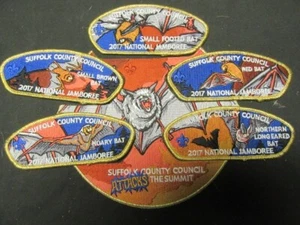 Suffolk County Council 2017 National Jamboree Gold Border JSP Set - Picture 1 of 1