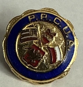 Polish Ramen Catholic Union Of America Vintage Pin - Picture 1 of 3