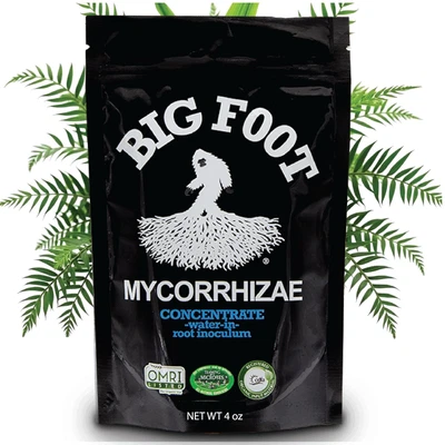 Concentrado soluble en agua Big Foot Mycorrhizae para plantas nuevas y EXISTENTES - Inc Foto 1 de 4