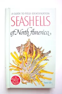 Field Guide To Field Identification SEASHELLS of North America, Illustrated - Picture 1 of 9