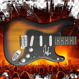 GFA Default Band Sänger * Dallas Smith * signierte E-Gitarre Echtheitszertifikat - Bild 1 von 7