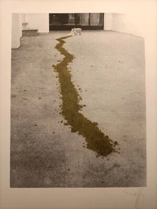 GIANNI RUFFI anni '70 litografia SCUOLA PISTOIESE POP ART Arte Moderna retouchè - Foto 1 di 5
