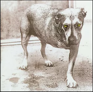 ALICE IN CHAINS - SELF TITLED CD a.k.a. THREE LEGGED DOG ~ LAYNE STALEY *NEW* - Picture 1 of 1
