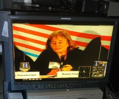 Ikegami 24" HLM-2450W HD HDTV/SDTV Multi-Format LCD Color Monitor  - Image 1 of 4