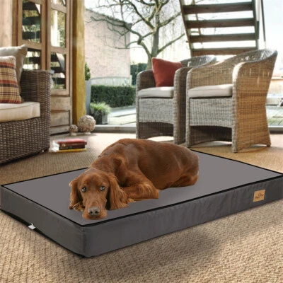Memory Foam Platform Dog Bed Orthopedic Pet Mattress Machine Washable Cuddler - image 1 of 4