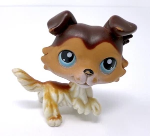 Littlest Pet Shop - Collie Dog #58 PAW UP blue eyes brown puppy - LPS AUTHENTIC - Picture 1 of 6