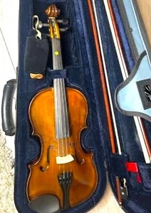 Viola - Picture 1 of 1