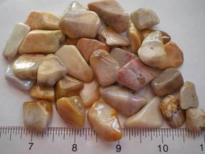 Pietre di corallo agatizzato 4 once   rt505d - Foto 1 di 1