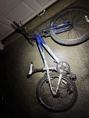 Bicicleta vieja Foto 1 de 4