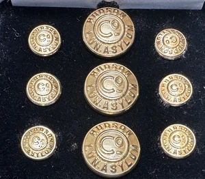 GOLD TONE HUDSON LUNATIC ASYLUM CO METAL BUTTONS SET IN BOX H541 - Picture 1 of 10