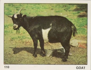 Top Sellers Card - Animals of The World - Card No 110 - Goat - Picture 1 of 2