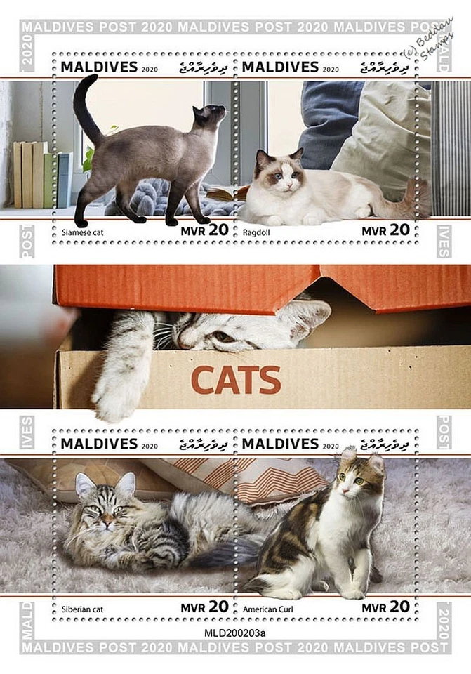 CATS Pets Animals Cat MNH 4v-Stamp Sheet #26 (2020 Maldives) - Image 1 of 1