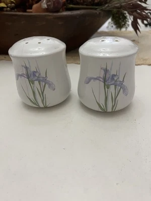 Corning Corelle тени Iris стекла соли и перца шейкер комплект красивый! - Изображение 1 из 4