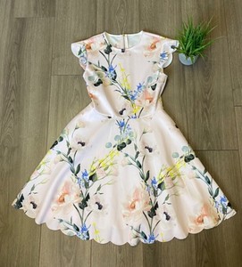 ted baker dresses plus size