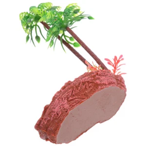 Bearded Dragon Tank Accessories Reptile Water Dish Basin Feeder Turtle Food - Picture 1 of 12