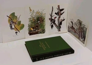 Our Amazing World of Nature: Its Marvels & Mysteries Reader's Digest 1969 - Foto 1 di 13