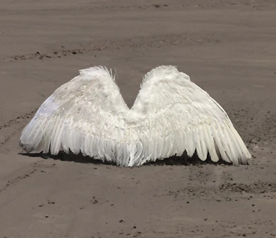 Большой белый перо Хэллоуин фея крылья ангела костюм для взрослых Halo - Изображение 1 из 4