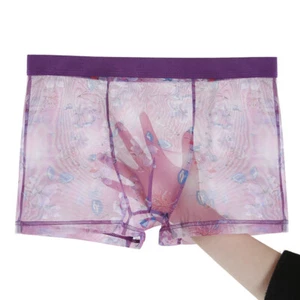 Men Boxers Mid-rise Panties Ice Silk Underwear Men Transparent Briefs Underpan L - Picture 1 of 20