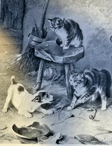 1897 Vintage Magazine Illustration Cats & Dog At Bay by W. Hunt - Picture 1 of 2