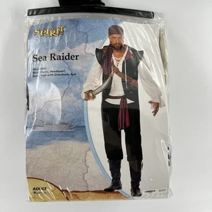 Adult Shipwreck Pirate Costume Mens Halloween Costume Sea Raider Large~ EUC - Picture 1 of 8