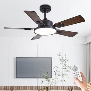 42" Ceiling Fans with Lights Remote Control, Black Ceiling Fan with Dimmable ... - Picture 1 of 9