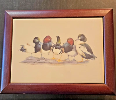 Juego de póquer vintage ilimitado Ducks con incrustación de fichas de pato/fichas y cartas de póquer/sin usar Foto 1 de 4