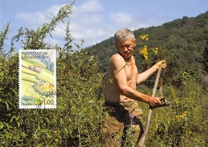 Maximum Card FDC LIECHTENSTEIN Agriculture 2010 March MK 314 N3 - Picture 1 of 2