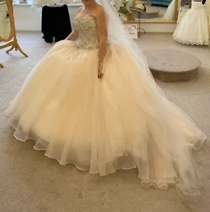 Wedding Dress by Mori Lee Swarovski corset bodice. Champagne/Blush - Picture 1 of 4