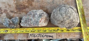 A lot of colorful coprolite dinosaur 4 Pounds 2 Ounces - Imagen 1 de 10
