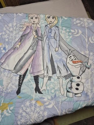 迪士尼冰雪奇缘2大号被子棉晨鸟Elsa Anna Shams不包括 — 第 1/4 张图片