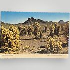 Vtg Postcard Desert Country Mountain Cactus Sand Unposted Merle Porter Deckled