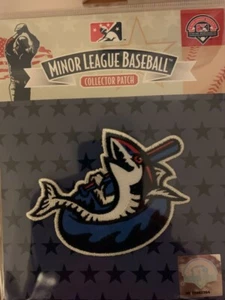 PENSACOLA BLUE WAHOOS PATCH DoubleA South MINOR LEAGUE BASEBALL MiLB EMBROIDERY - Picture 1 of 1