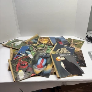 National and International Wildlife Magazines Vintage 1980s Lot of 27 - Bild 1 von 13