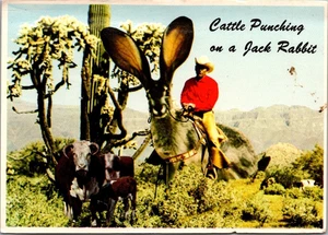 CATTLE PUNCHING on a JACK RABBIT 4x6 TEXAS Cowboy humor Postcard - Picture 1 of 2