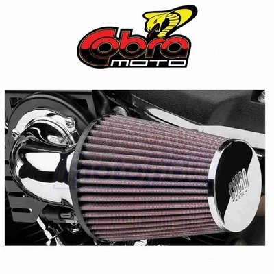 Cobra Cone Air Intake for 2005-2010 Harley Davidson XL883L Sportster 883 Low el — 第 1/4 张图片