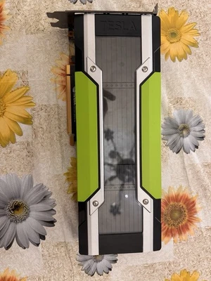 NVIDIA Tesla P100 16 Gb VRAM Ottima E Usata Pochissimo - Immagine 1 di 3