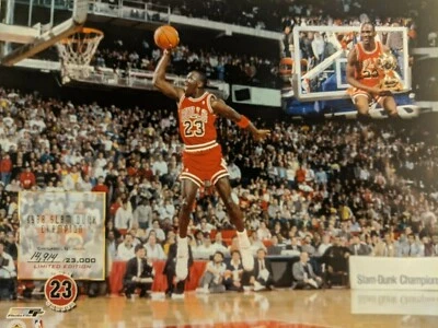 Фотография Майкла Джордана ограниченный выпуск последний танец 8x10 Chicago bulls - Изображение 1 из 2
