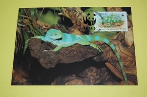 Tonga Banded Iguana WWF Official First Day of Issue Maximum Card or Maxi-Card #1 - Picture 1 of 3