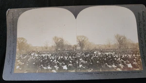 Inauguration  President Roosevelt 1905 Inaugural Address Stereoview #51 - Picture 1 of 2
