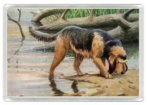 OTTERHOUND DOG ART PRINT ACRYLIC NOVELTY FRIDGE MAGNET GREAT GIFT - Picture 1 of 1
