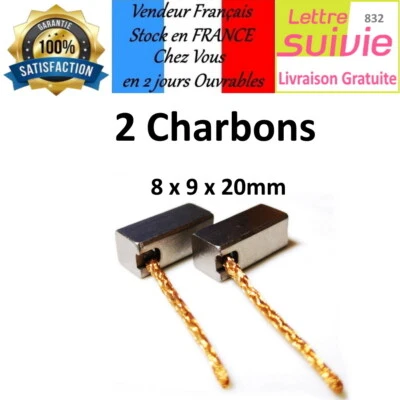 Lot de 2 Balais de Charbon cuivrés 8 x 9 x 20 mm Moteur Alternateur ventilateur - Photo 1/2