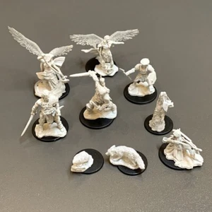 9 sztuk Aasimar Wizard Familiars Fighter Ranger D&D Nolzur's Wspaniałe miniatury - Zdjęcie 1 z 7