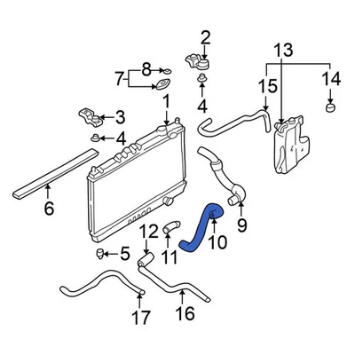 For Nissan Frontier 1999-2004 Nissan 215034S100 Lower Radiator Coolant Hose Foto 1 de 4