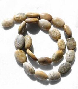 Brin de perles focales ovales en corail fossilisé | 18 x 14 x 6 mm à 16 x 12 x 6 mm | 23 perles |